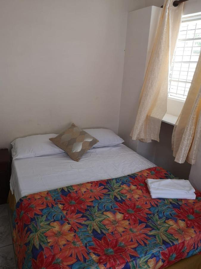 Ventnor House Apartment Bridgetown